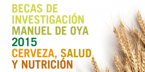 becas_oya-300x150