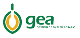 gea